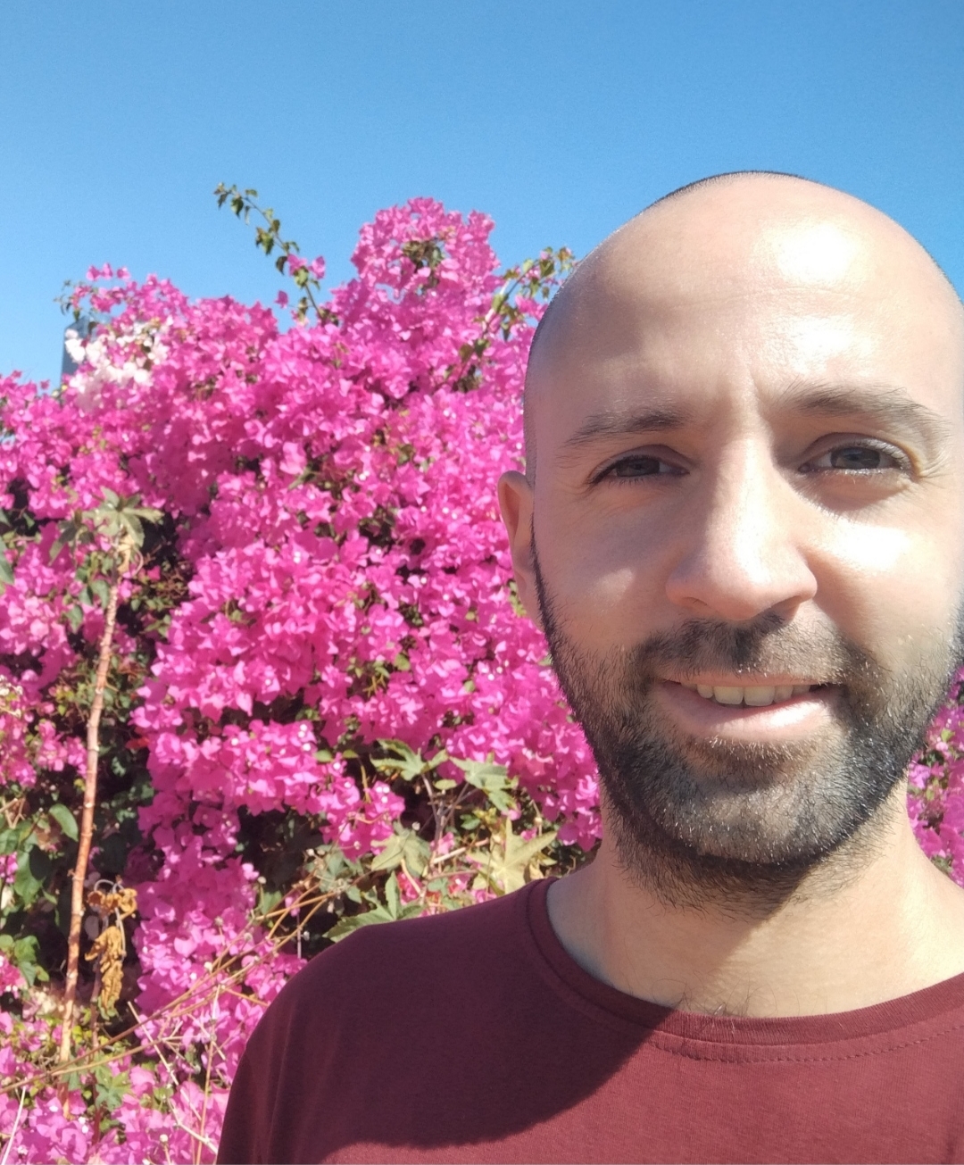 צח סייג