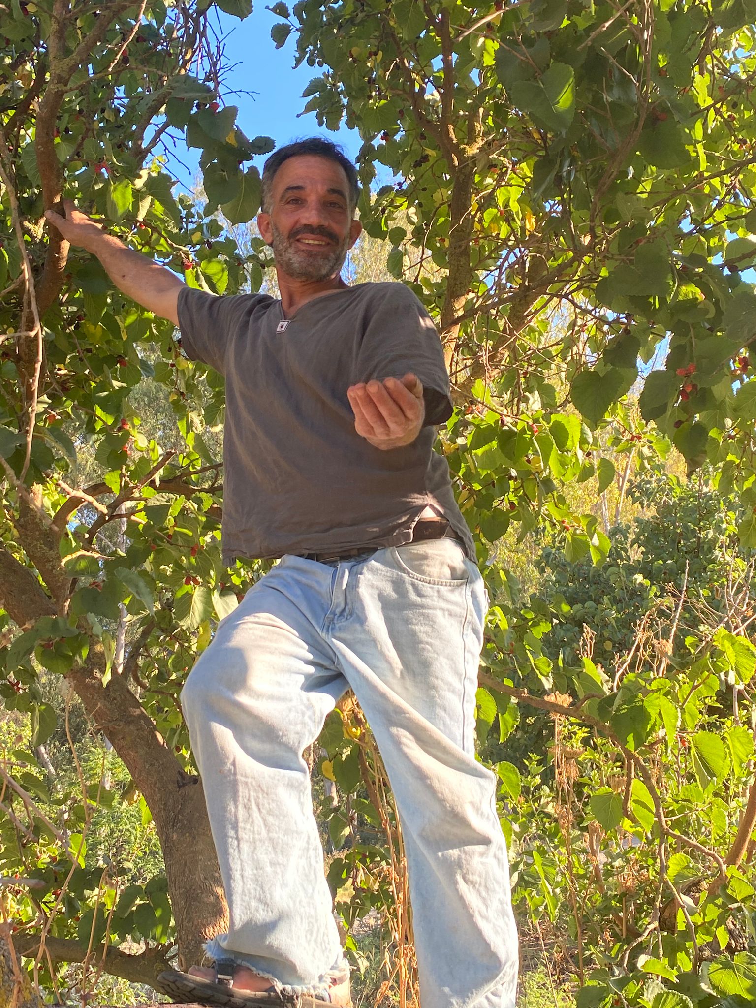 תום גלילי
